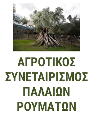 Συνεταιρισμός Παλαιών Ρουμάτων logo